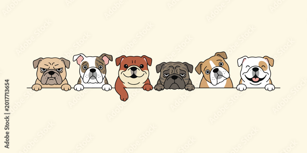 Fototapeta premium Cartoon bulldog heads peeking over a line colorful vector illustration on a beige background
