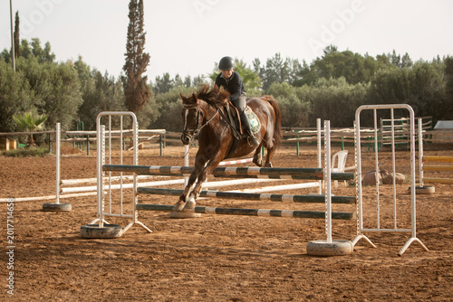 Young equestrian rider jumping over hurdles on a chestnut horse in an outdoor sand arena, surrounded by lush green olive and palm trees. Action shot of show jumping training session on a sunny day.