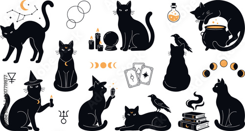 Tableau sur toile Mystical black cat witchcraft illustration collection featuring magical symbols tarot candles potion and occult fantasy elements isolated on white background