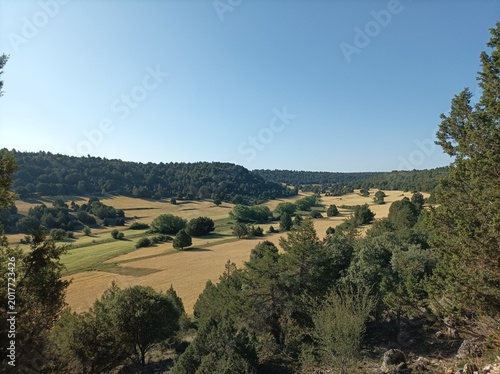 Golden wheat fields in a verdant valley in rural Spain.