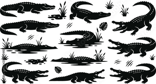 Photos Crocodile silhouette collection featuring wild reptile poses swamp wildlife and dangerous predator illustrations isolated on white background
