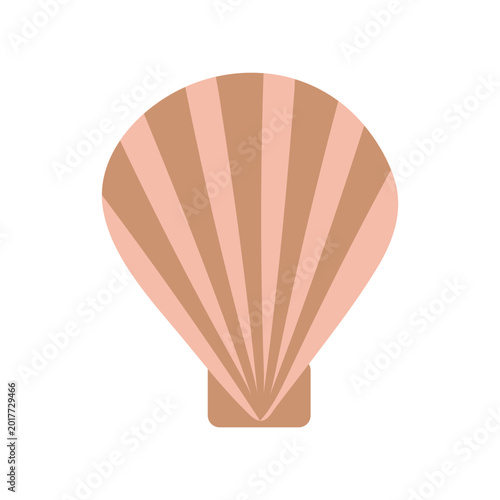 vector color seashell in a minimalist style on white background