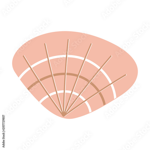 vector color seashell in a minimalist style in pastel colors. 