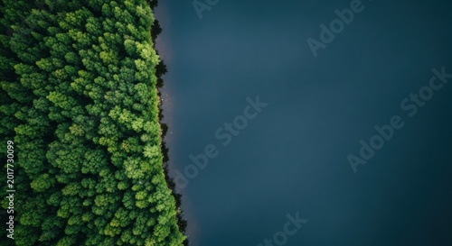Aerial view of a lush green forest meeting a deep blue lake