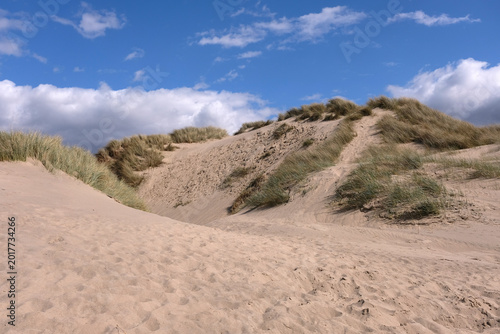 Sand dunes at Harlech beach, Morfa Harlech National Nature Reserve, Eryri National Park, Gwynedd, North Wales, UK.