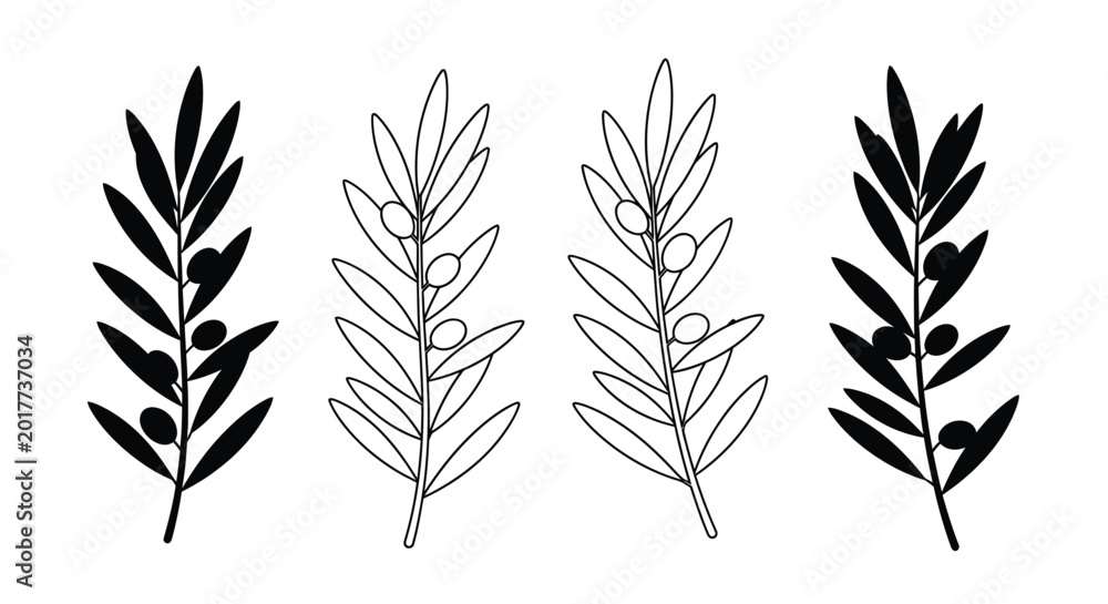 Fototapeta premium Olive branch with fruit linear drawing silhouette