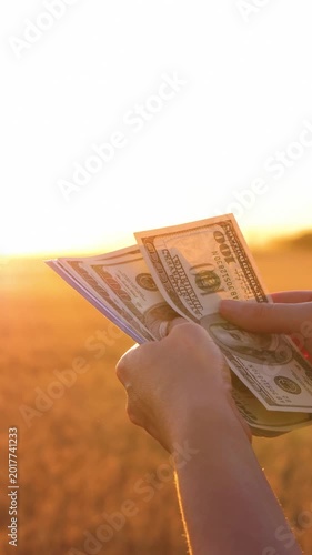 Close-up of female farmer hands counting cash in wheat field at sunset. Rural income and agricultural earnings concept with warm golden light in countryside landscape. Womans hands and money