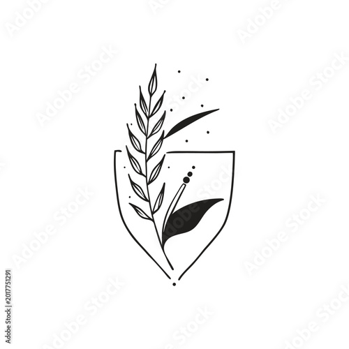 Minimalist botanical logo design featuring a delicate leafy branch and abstract elements within a clean shield shape.