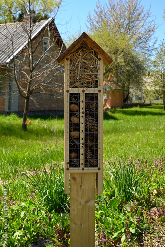 Bug hotel in countryside garden during spring season. Eco friendly shelter for wild bees and beneficial insects in natural backyard environment.