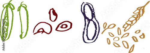 Canvas-taulu Set of colorful hand-drawn seeds and cereals