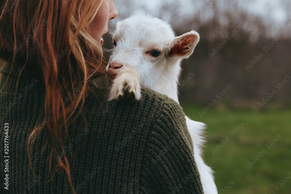 Fototapeta premium Goat kid rests against a smiling woman outdoors, gentle moment in soft light, warm knit sweater, rustic field backdrop, candid lifestyle scene, natural colors, peaceful companionship, countryside