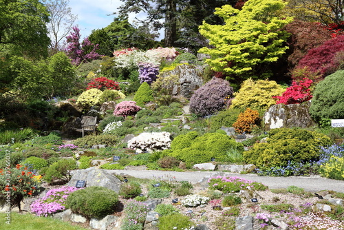 Beautiful English Garden in Bloom.