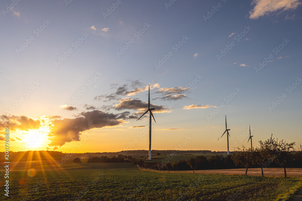 Obraz premium Wind turbines in evening sunlight over fields, symbolizing clean and renewable energy.