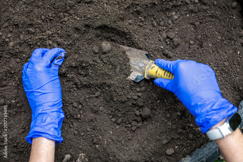 Принти на полотні Gardener Preparing Soil With Hand Trowel