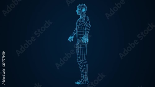 Video motion a 3D wireframe model of a human body. The model is made up of a grid-like pattern of lines, creating a wireframe-like appearance.