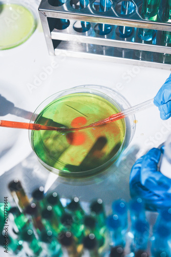 Photos Science, laboratory and woman with pipette, test tube and biotech solution in research