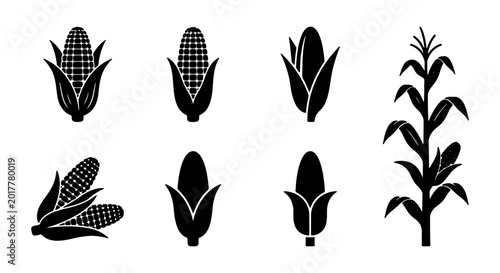 Bild auf Leinwand Corn Icons Set, Maize Vector Graphics, Sweet Corn Illustrations, Organic Food Sy