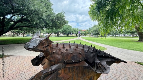 Photos Texas Christian University, located in the vibrant city of Fort Worth, Texas, is better known as TCU