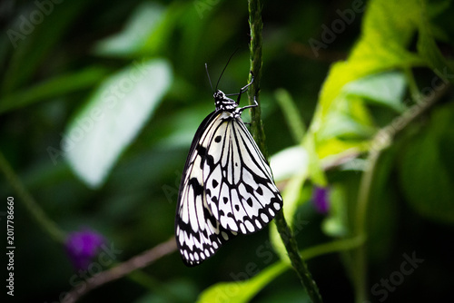 Photography Wildlife and exotic animals at the Toronto Zoo in Ontario Canada