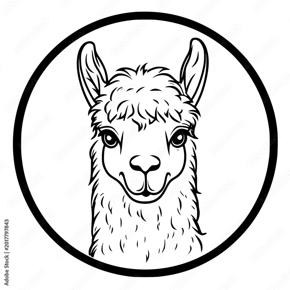 Fototapeta premium A charming outline of an Alpaca. A cheerful Alpaca is depicted in a circular emblem. vector illustration