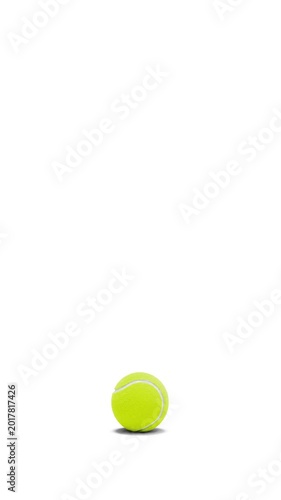 Tennis ball bouncing on white background loop