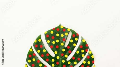 Colorful Decorative Monstera Leaf with Red Yellow and Green Polka Dots on White Background