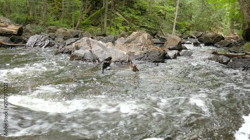 Downstream from Iroquois Falls on a small river with rapids and a waterfalls along Sentier Iroquois, a hiking trail near Lac Simon in Duhamel, Quebec, Canada.