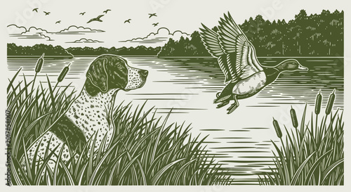 Bild auf Leinwand English Setter dog, hunting scene, green monochrome illustration, wildlife, outd