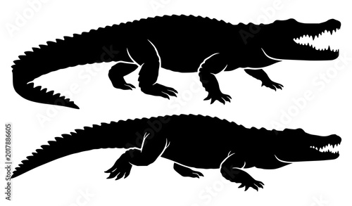 Two crocodile silhouettes vector wildlife reptile illustration set