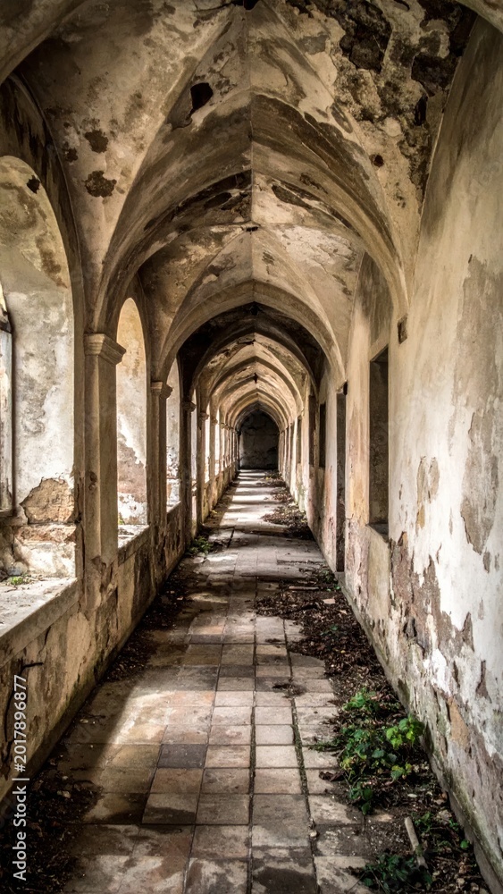 Obraz premium Abandoned Gothic Corridor Extending Through Decayed Historic Building