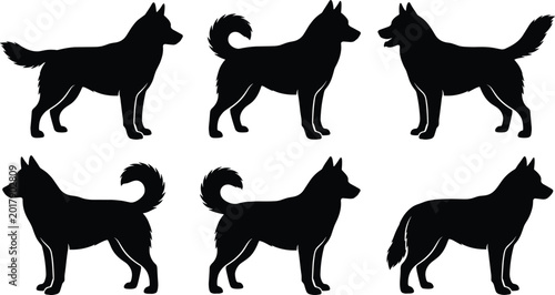 Bild auf Leinwand Dog Silhouette Set Featuring Domestic Canine Breeds Standing in Different Pet An