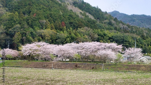 Kobe, Japan