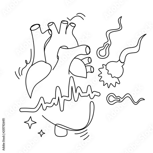 Reproductive health concept with sperm cells and heartbeat line near human anatomy, modern medical atmosphere, representing fertility and life science, perfect for healthcare and biology education the