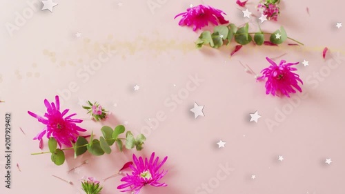 On play, flowers holding, star confetti appearing, drifting, fading across pink surface for motion