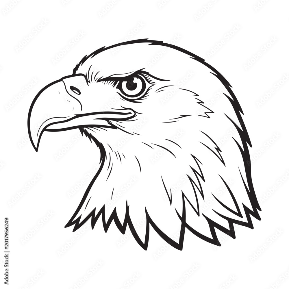 Obraz premium Bald eagle head mascot logo isolated on white background