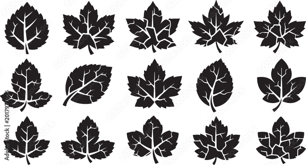 Obraz premium Black leaf icons, vector leaves, foliage symbols, 12 pcs