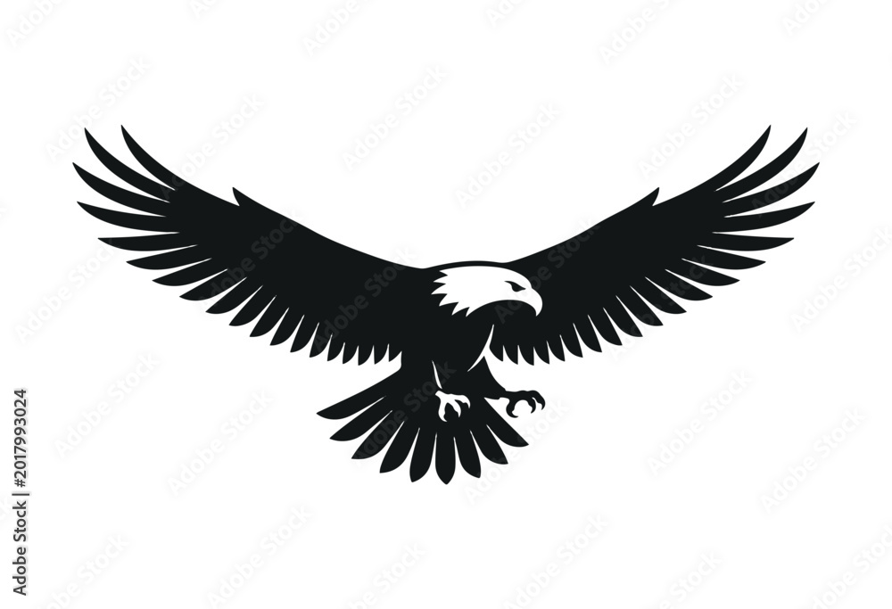 Fototapeta premium Eagle in flight silhouette. Flying eagle silhouette. 
