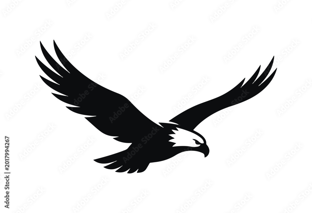 Fototapeta premium Eagle in flight silhouette. Flying eagle silhouette. 