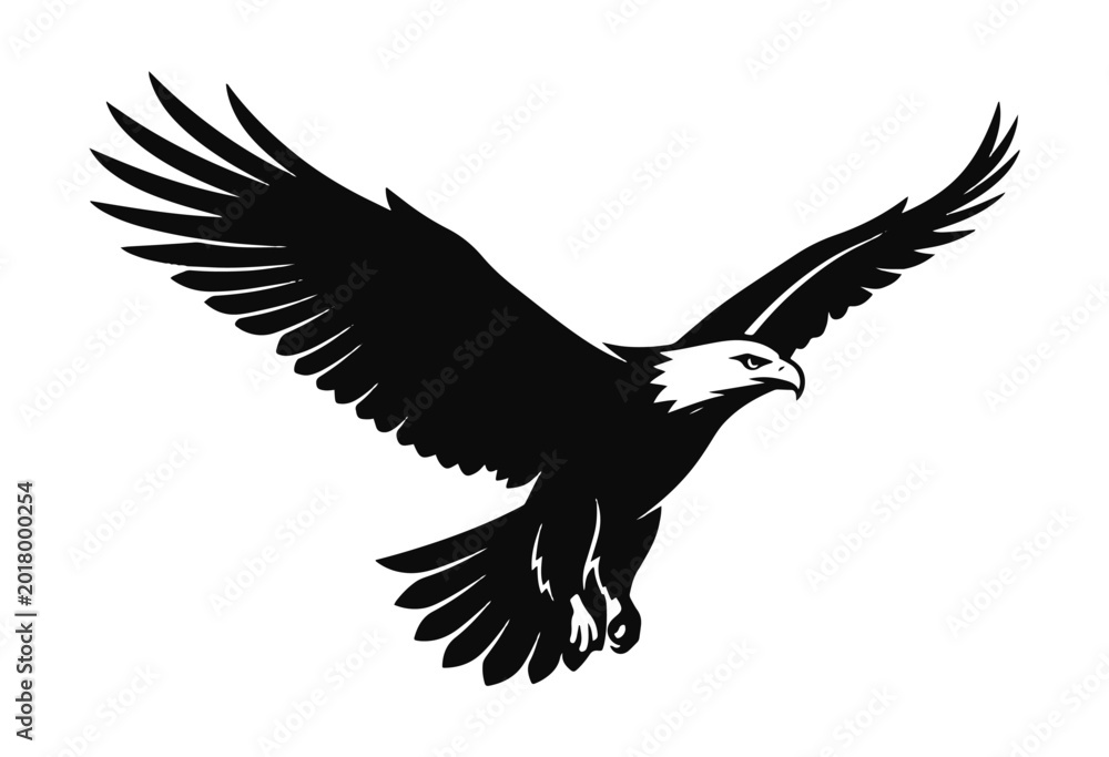 Obraz premium Eagle in flight silhouette. Flying eagle silhouette. 