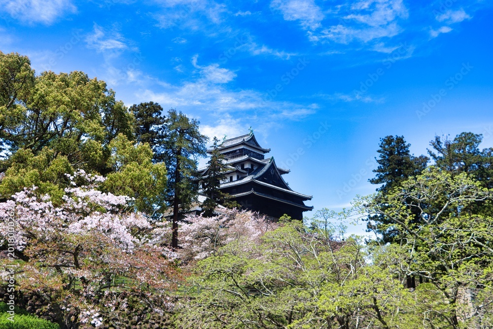 Fototapeta premium Sakaiminato, Japan