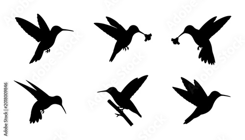 Cuadro en lienzo Hummingbird Silhouettes Vector Set, Delicate Flying Birds Collection, Nature Wil