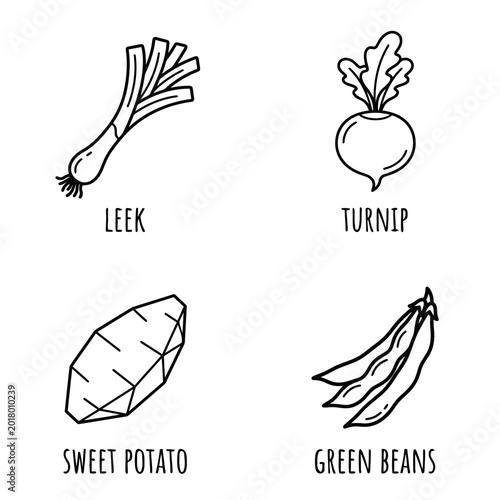 Simple Line Drawings of Vegetables Featuring Leek, Turnip, Sweet Potato, and Green Beans for Educational and Decorative Purposes
