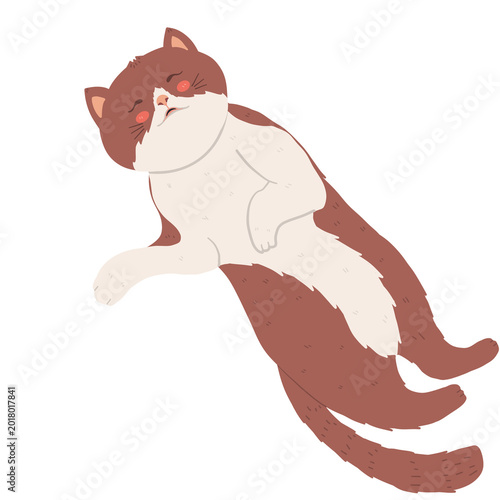Cute Sleeping Cat PNG, Kawaii Lazy Kitty Clipart.
