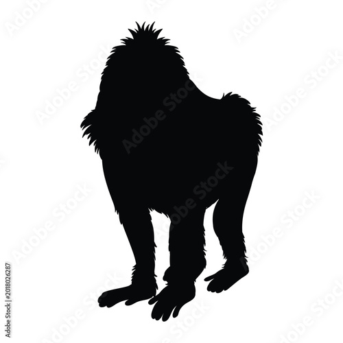 Photography Baboon Orangutan monkey Icon Silhouette Vector black design on a white backgroun