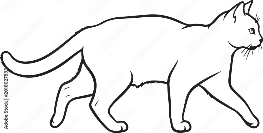Fototapeta premium Walking cat, feline illustration, black line art, pet vector isolated PNG with Transparent Background