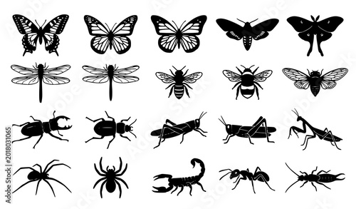 Foto Educational Insect Silhouette Collection with Butterflies Beetles Grasshoppers a
