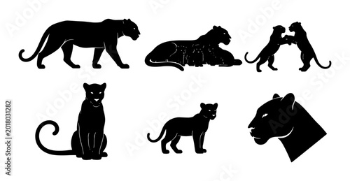 Bild auf Leinwand Black Panther Silhouettes, Wild Cat Vector Icons, Majestic Feline Poses, Big Cat