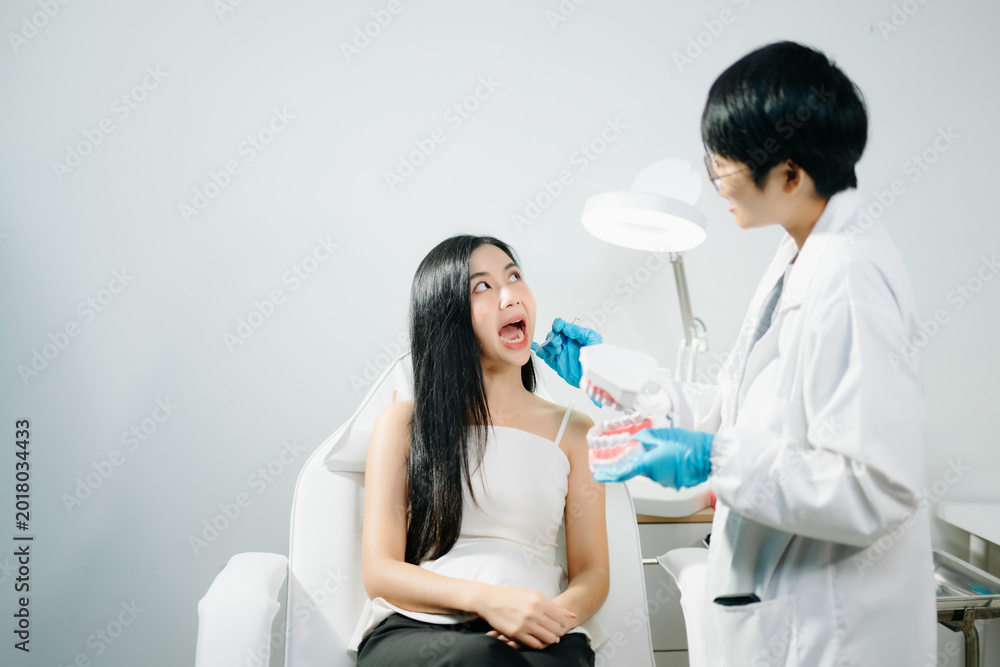 Fototapeta premium Asian Woman Dental Checkup with Dentist Explaining Teeth Model in Modern Clinic
