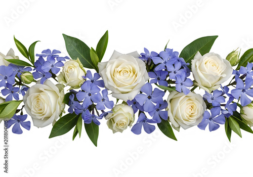 Elegant floral border with white roses and blue periwinkle flowers, isolated on transparent background for design.