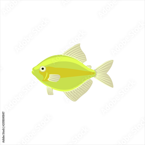Glofish tetra, Gymnocorymbus ternetzi, vector drawing aquarium fish isolated at white background, hand drawn illustration
